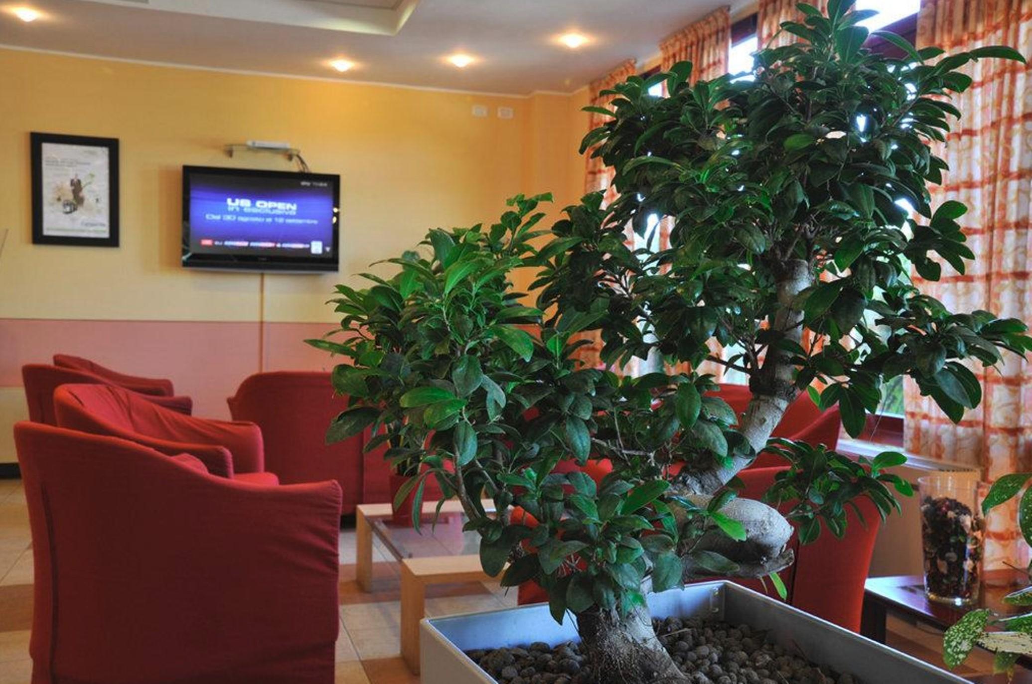 Tulip Inn Turin South Монкальери Интерьер фото